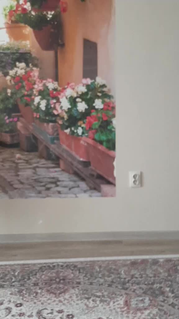 @Паучок