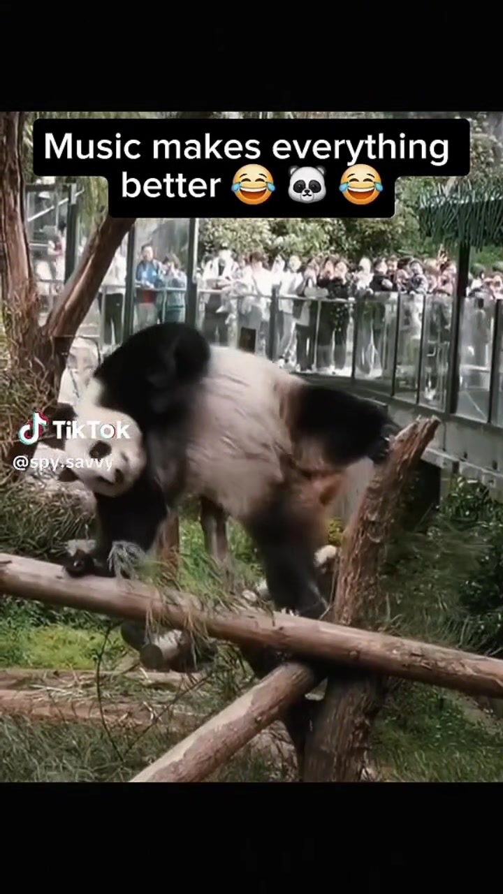 @TomDaxFan