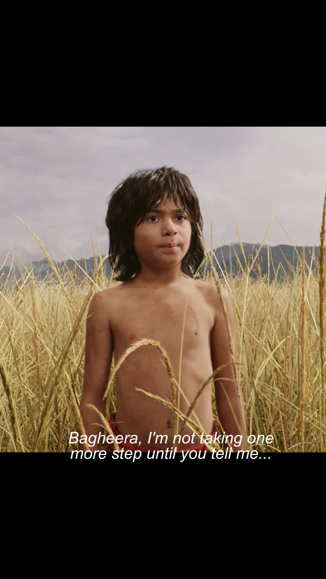 @Catomovie