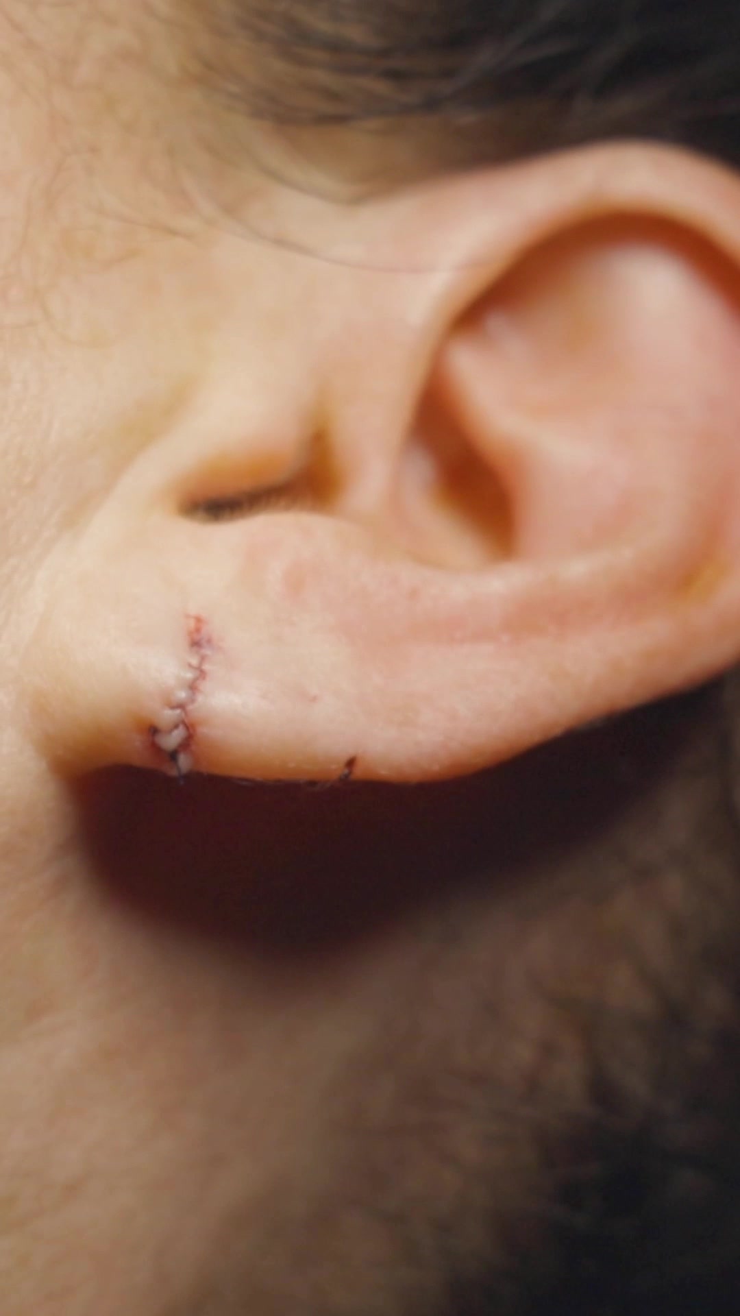 @David&ensp;Cangello
