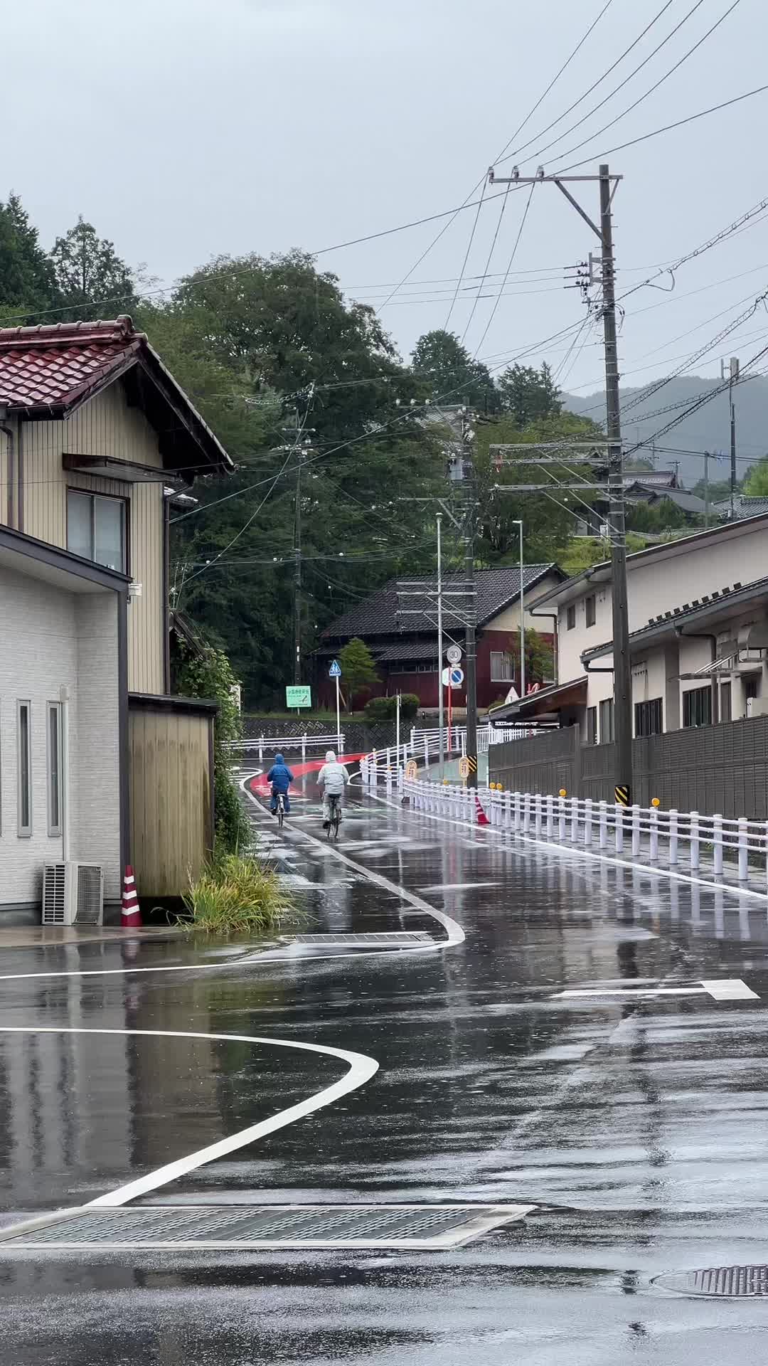 @ARIFU