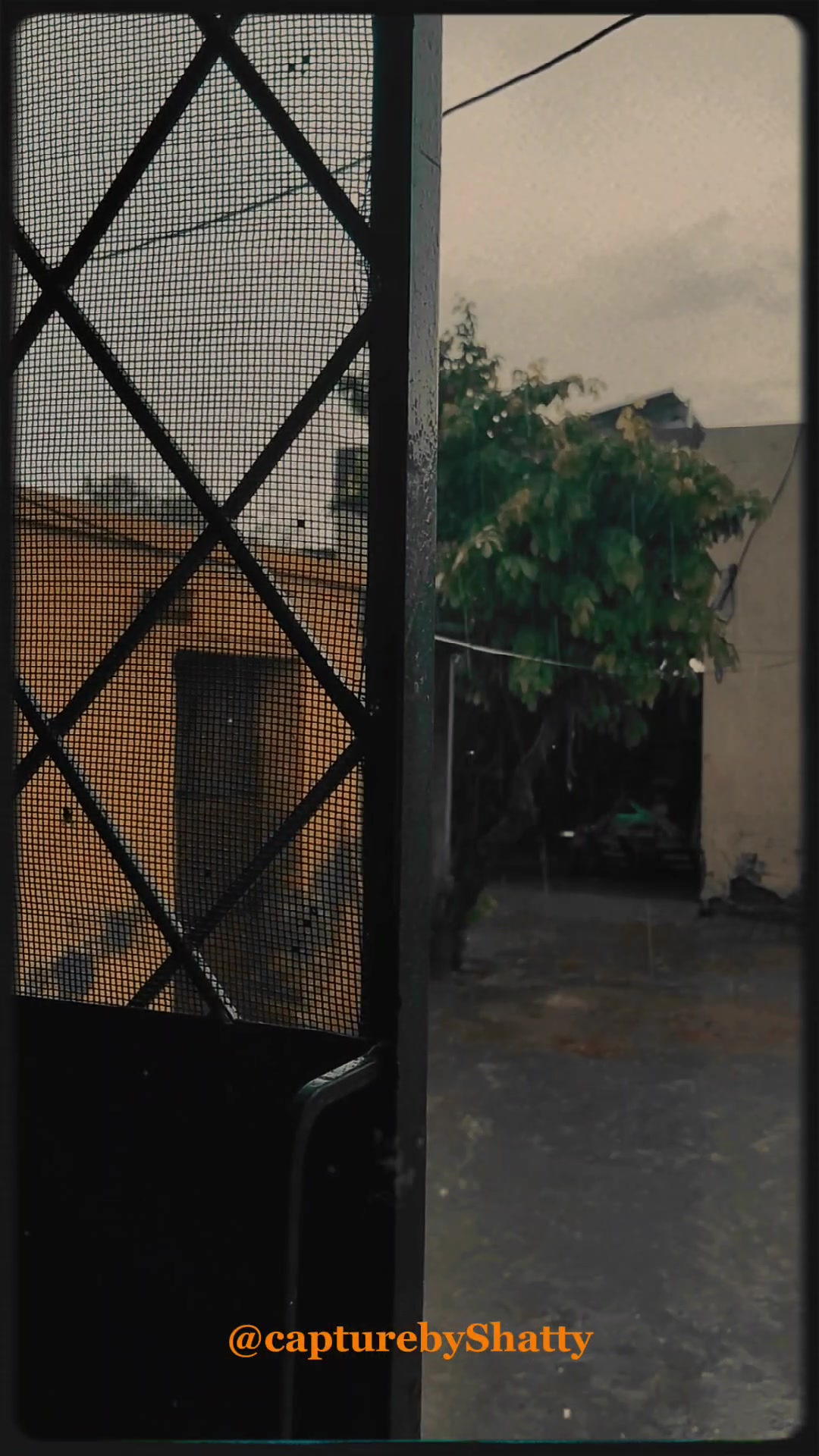 @Mannat Hayat Mirza