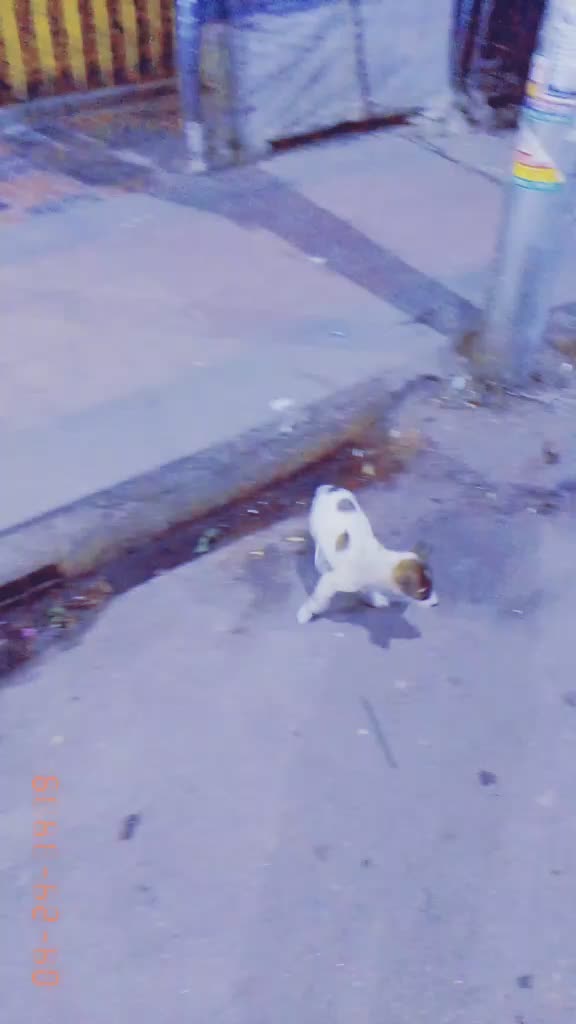 @D-U-RJOY.đ¸đ¸đ¸đ¸E-M-ON