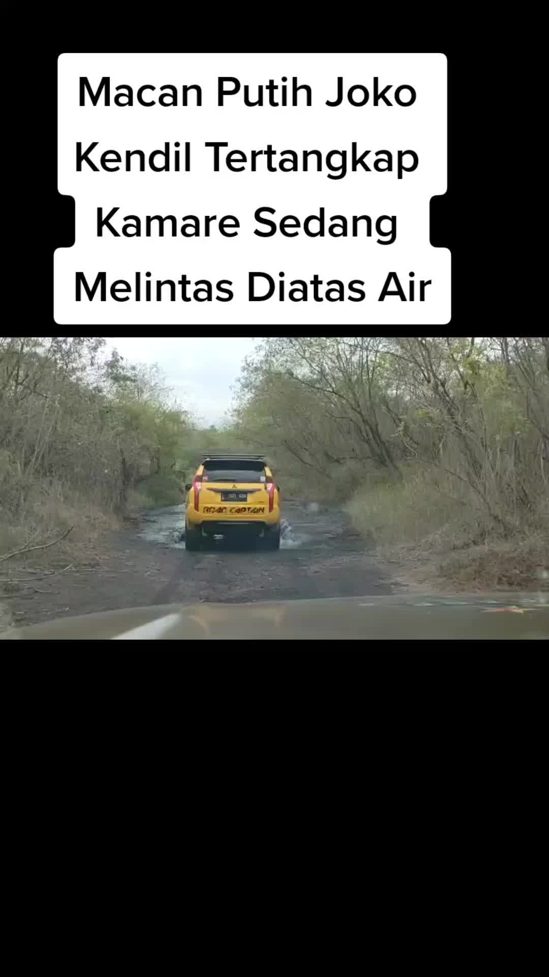 @WongaKampung