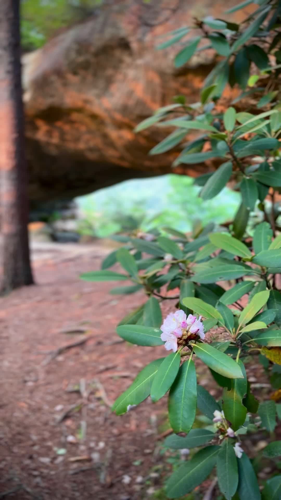 @billy.hikes