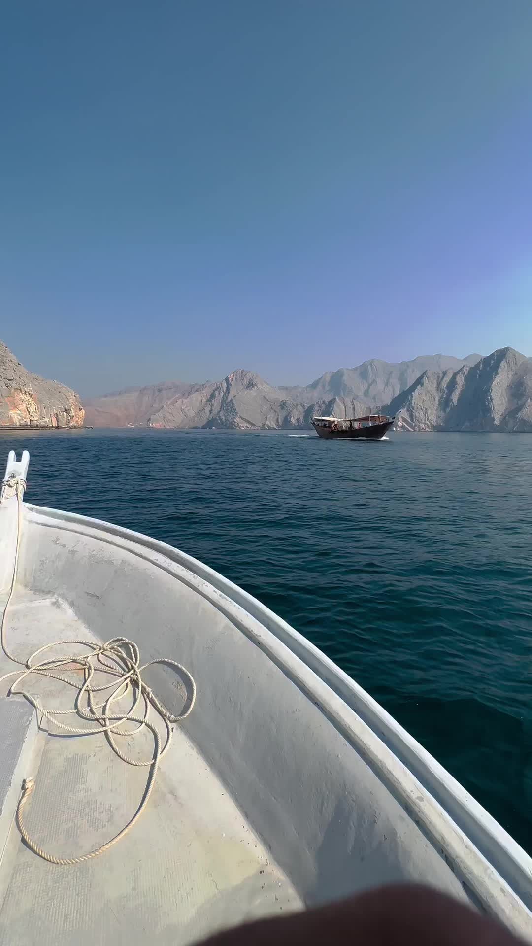 @محمد شميم
