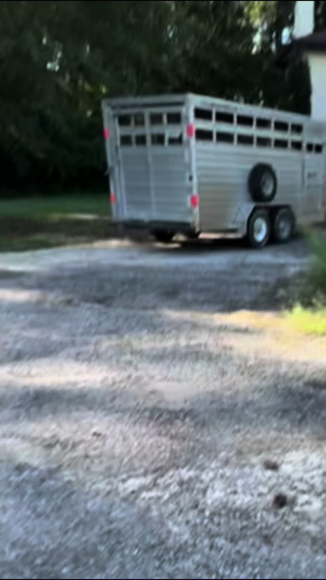 @madponies