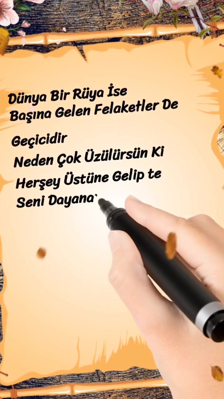 @kelebeğin d&uuml;nyası