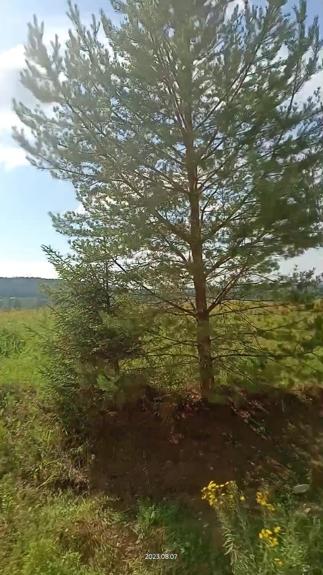 @Даря @