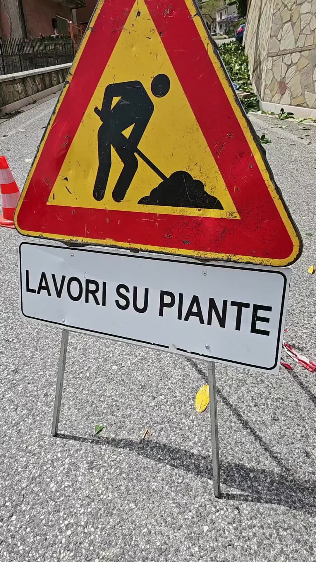 @#CENTROVERDELIONI