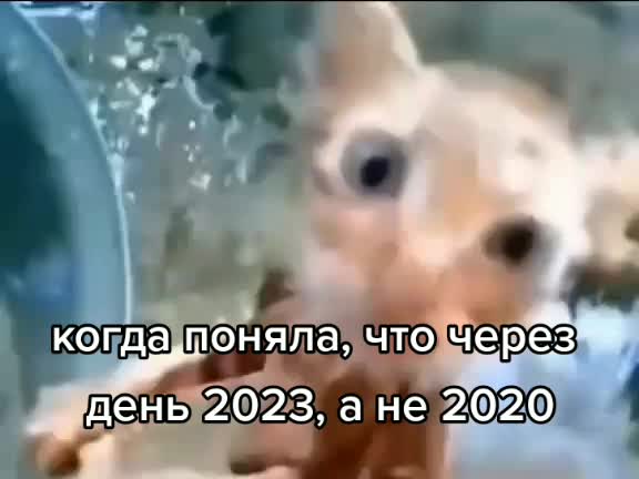 @аргентум