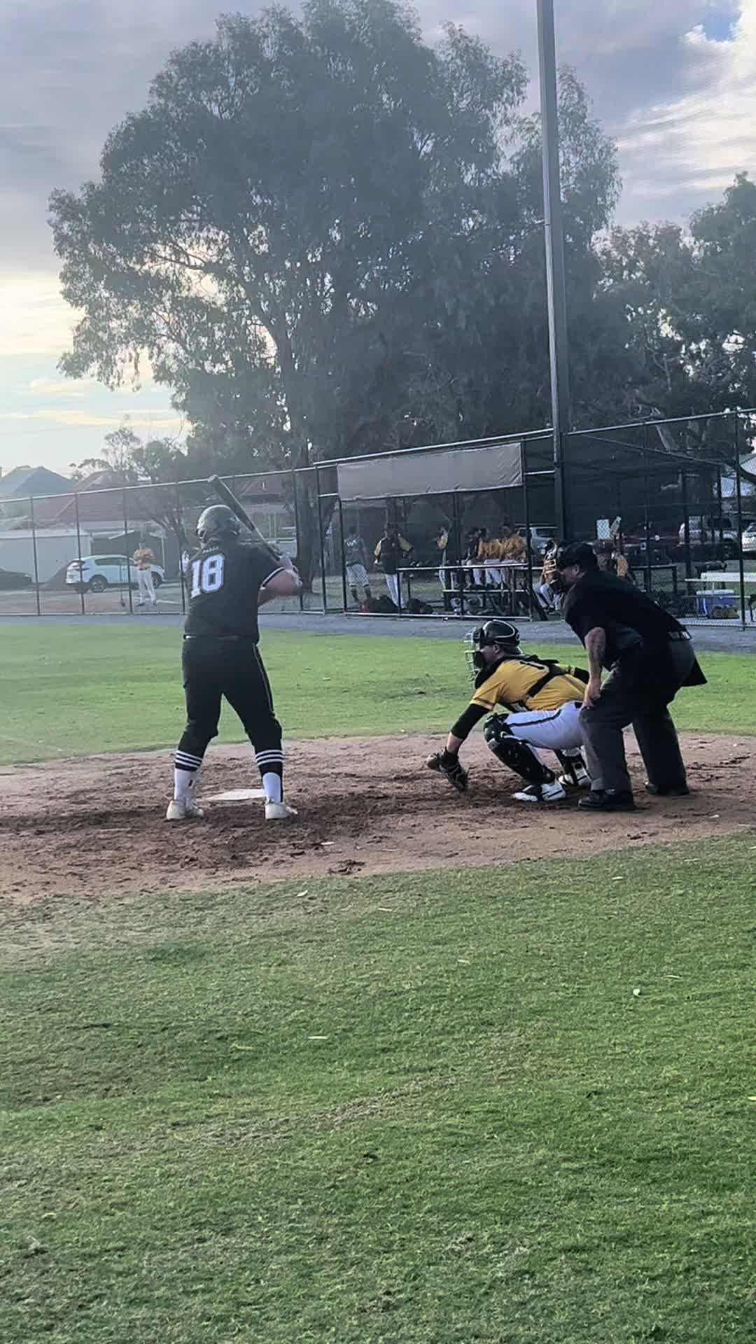 @Port Magpies Baseball