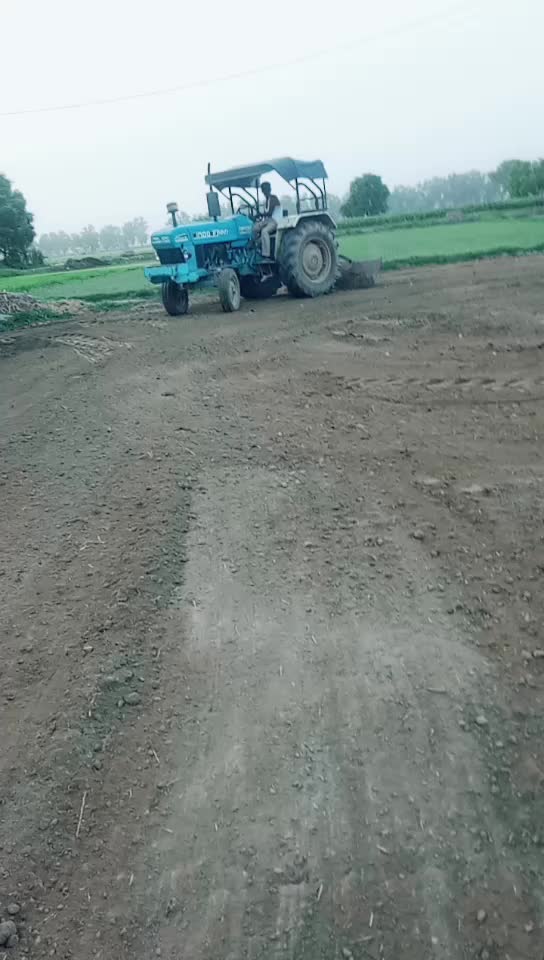 @Ashok Rai 786