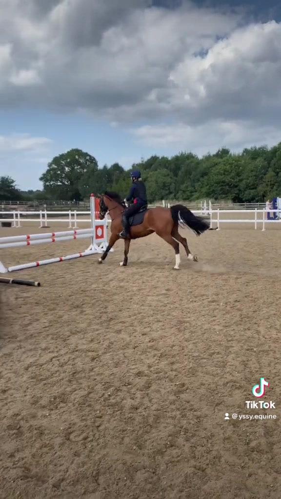 @ypequestrian