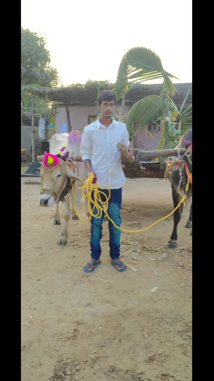 @user7147412694787