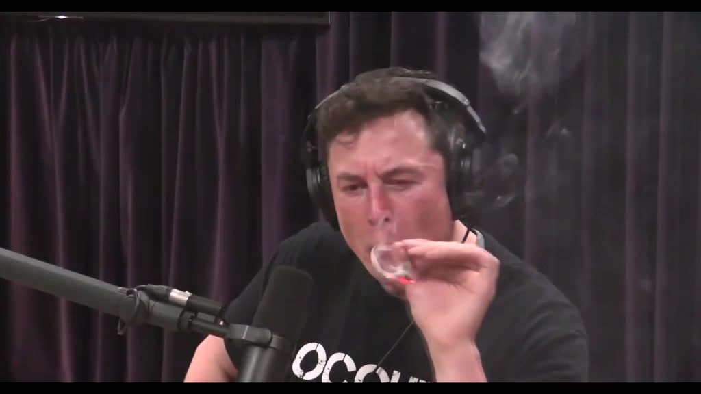 @SpaceX.News__