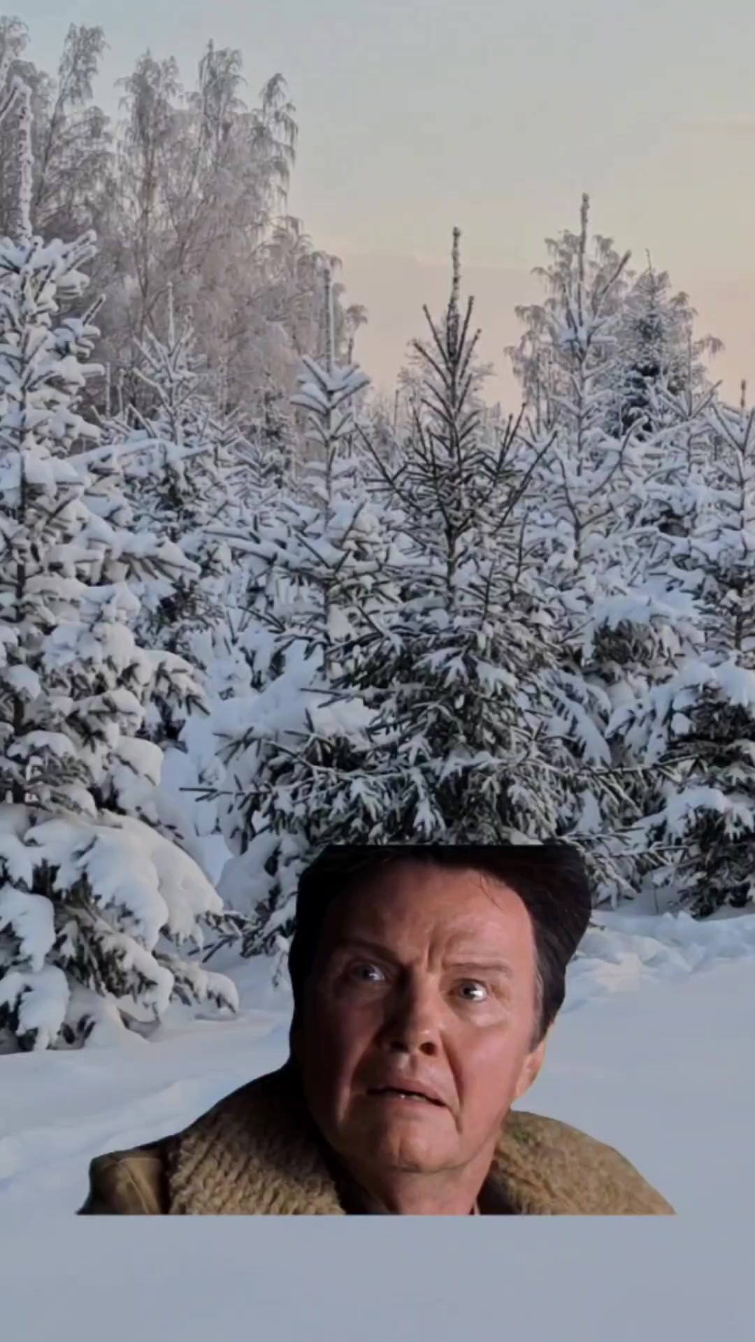 @skogberg_lv