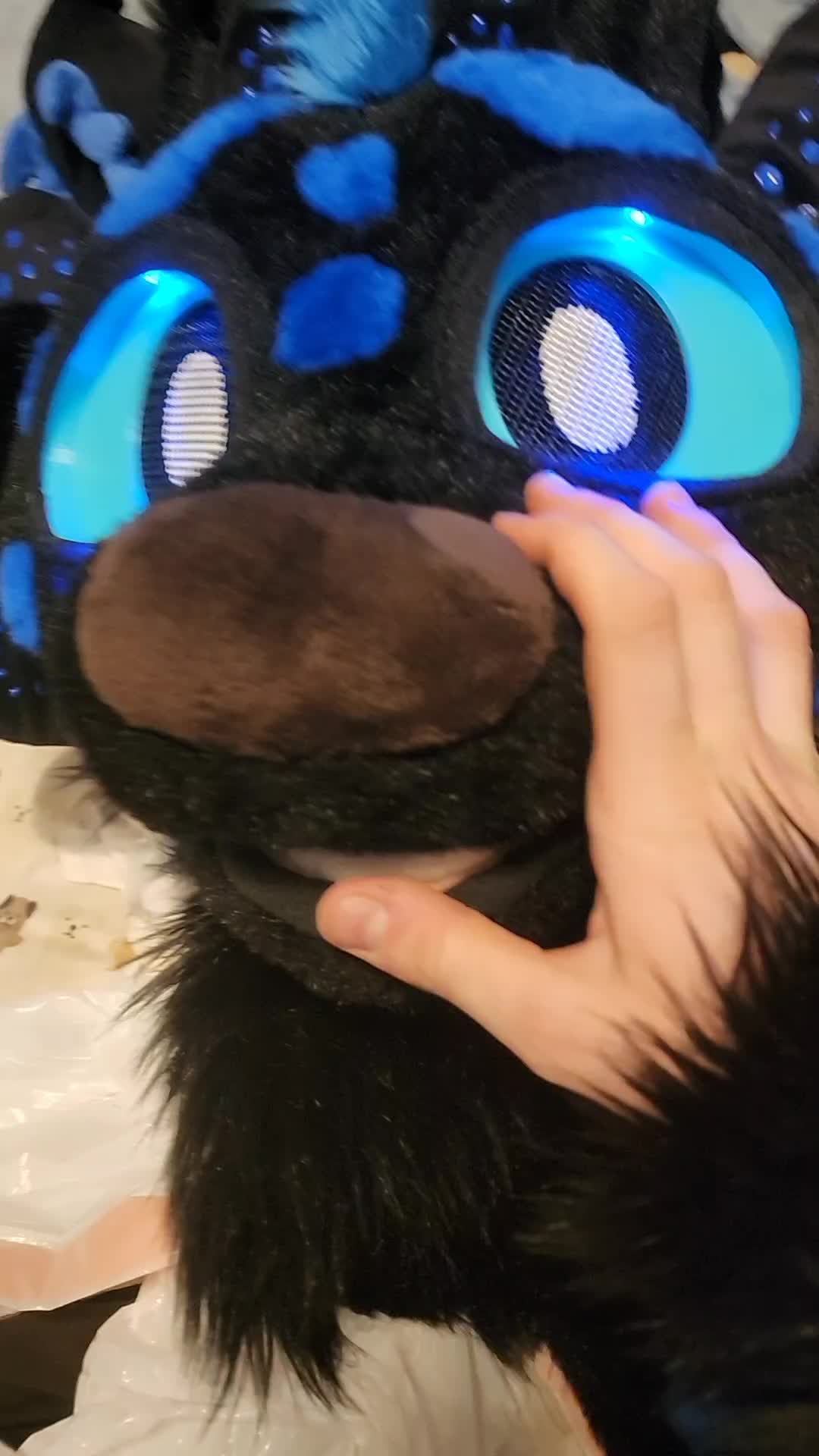 @DashTheNightFuryTaidum