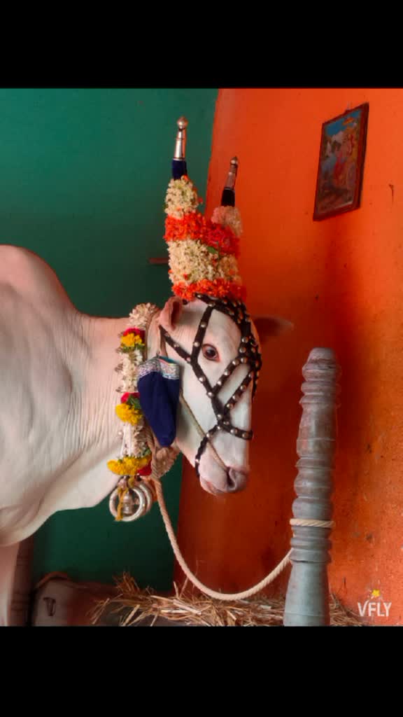 @ಭೋಮ್ಮ ಲಿಂಗೇಶ್ವರ ಬಸಪ