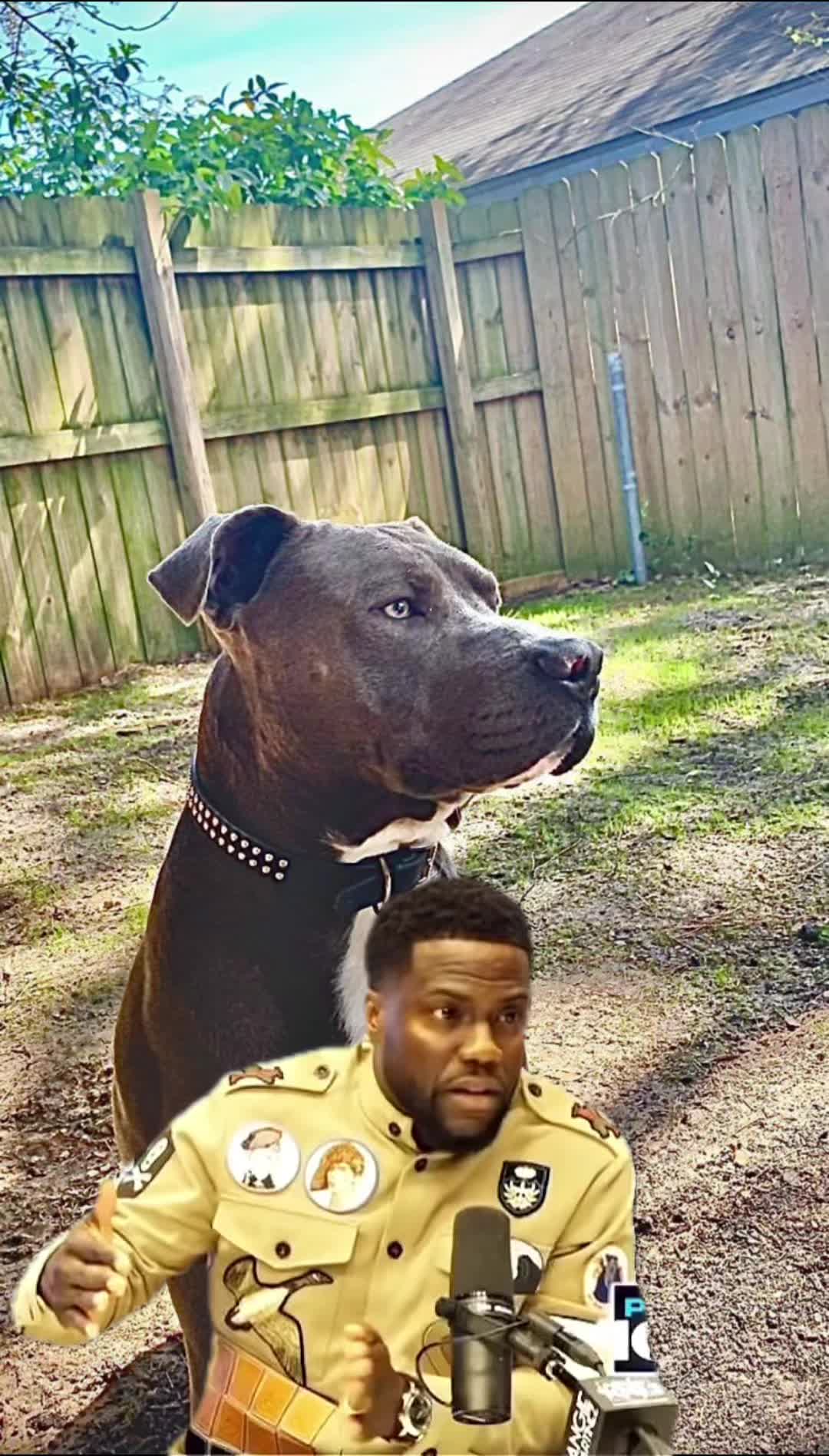 @Brookelsu