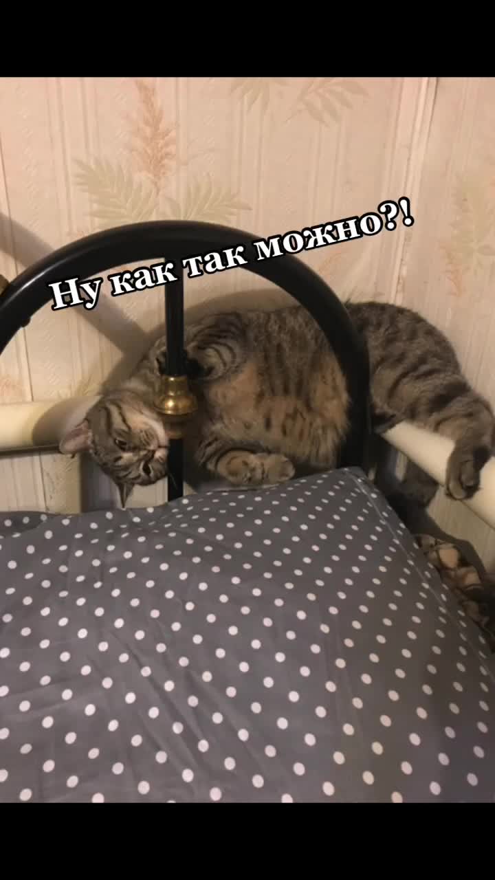 @САЛАМ ПОПОЛАМ