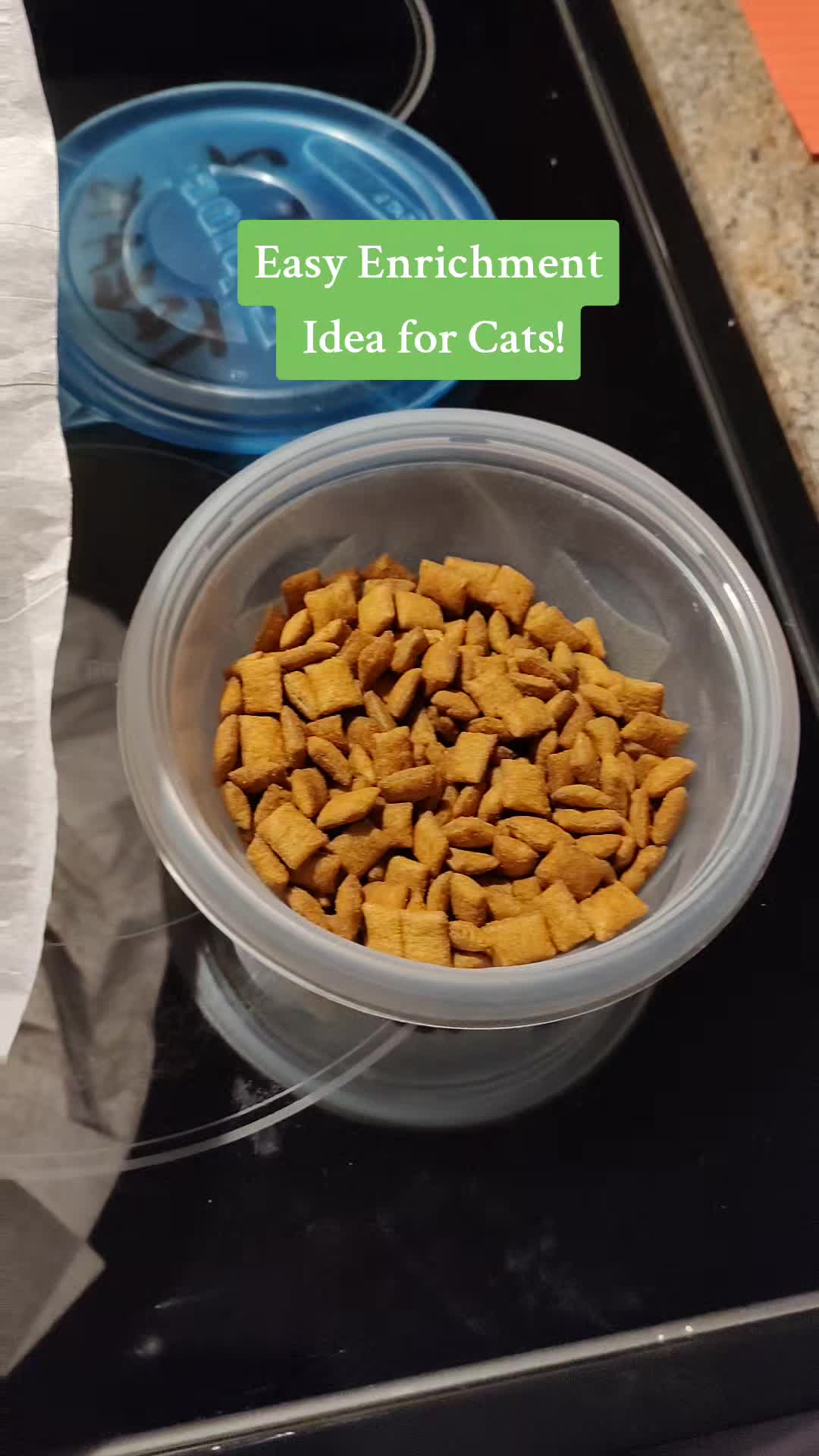 @TeachersPetSitting