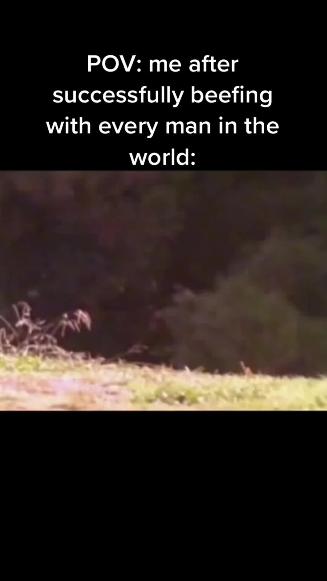@𝔯𝔞𝔭E𝔡𝔦𝔱𝔰