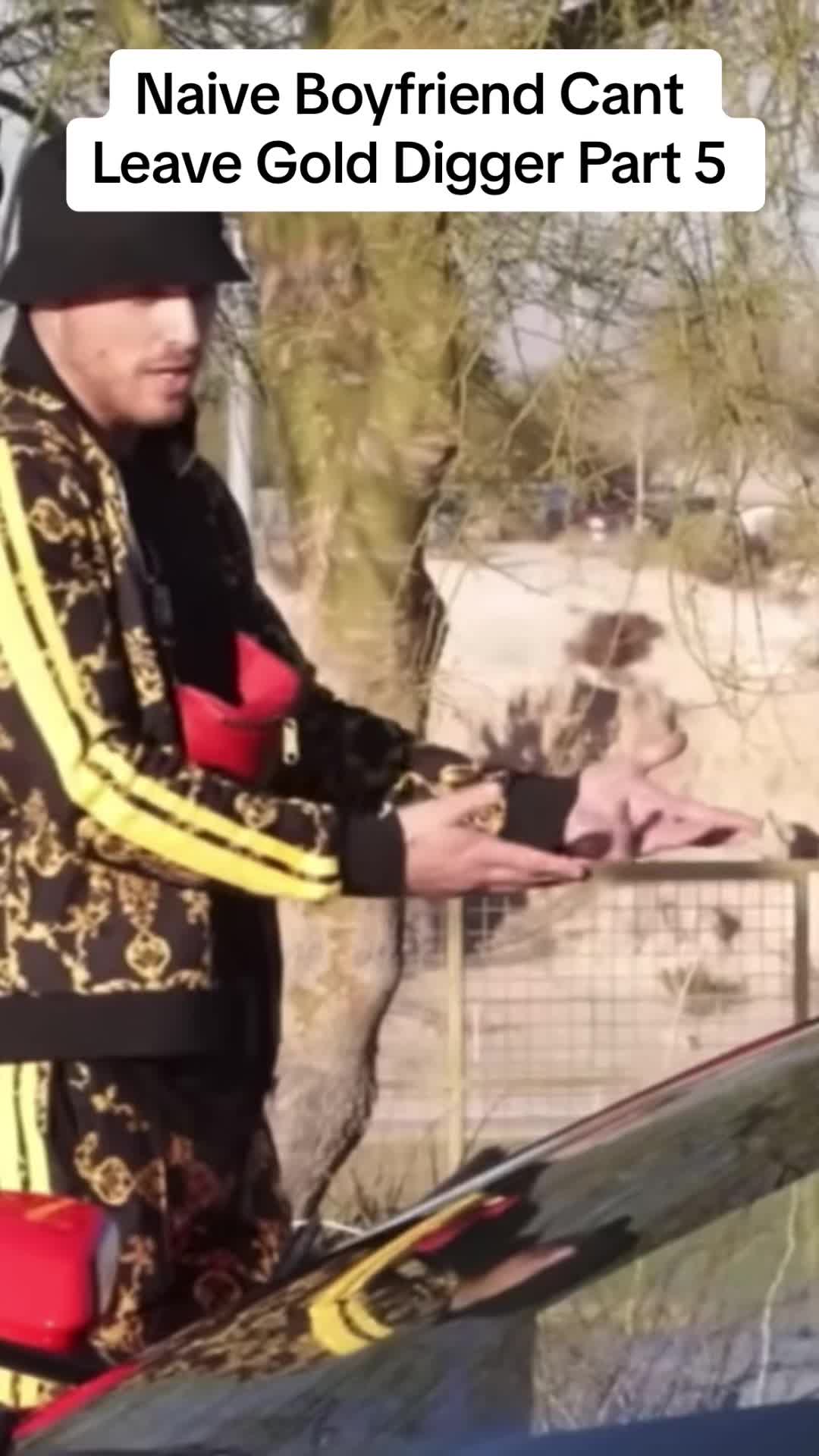 @hahapranks