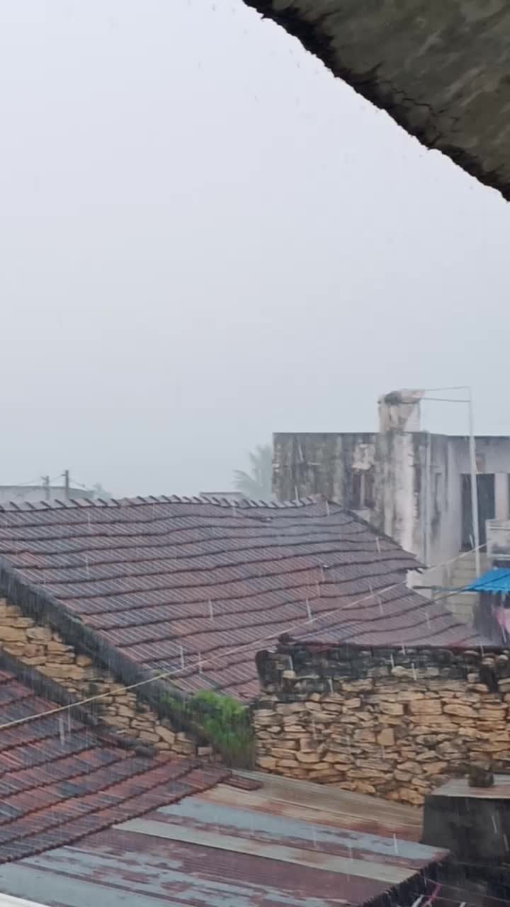 @ગાંડી ગીર નો હાવજ