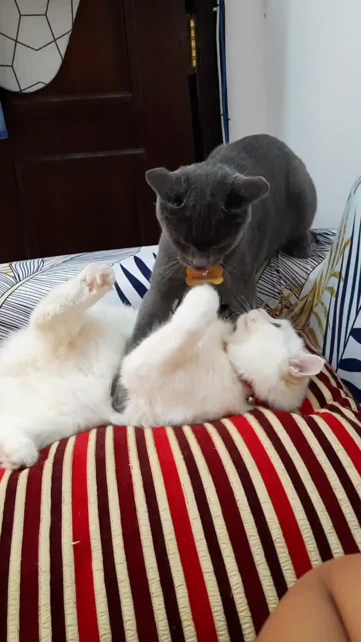 @SikongSimongChikong