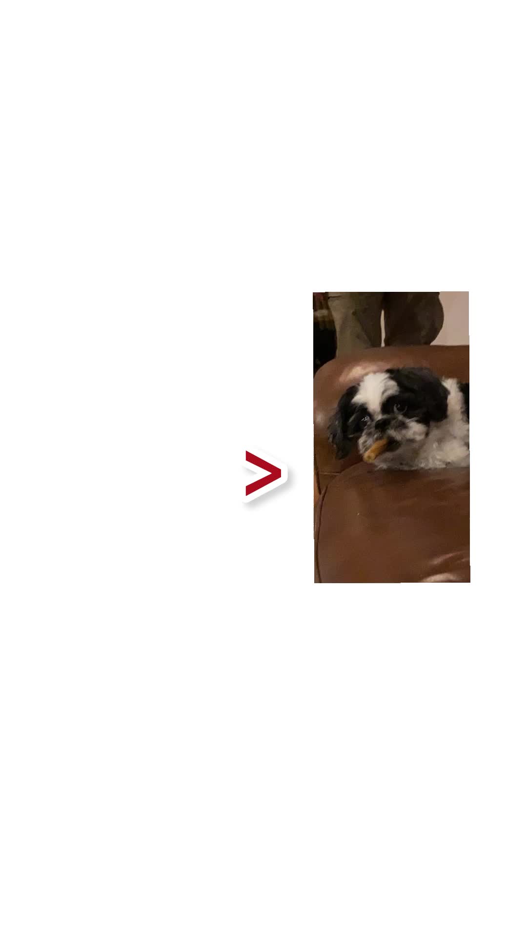 @crickethateaccount