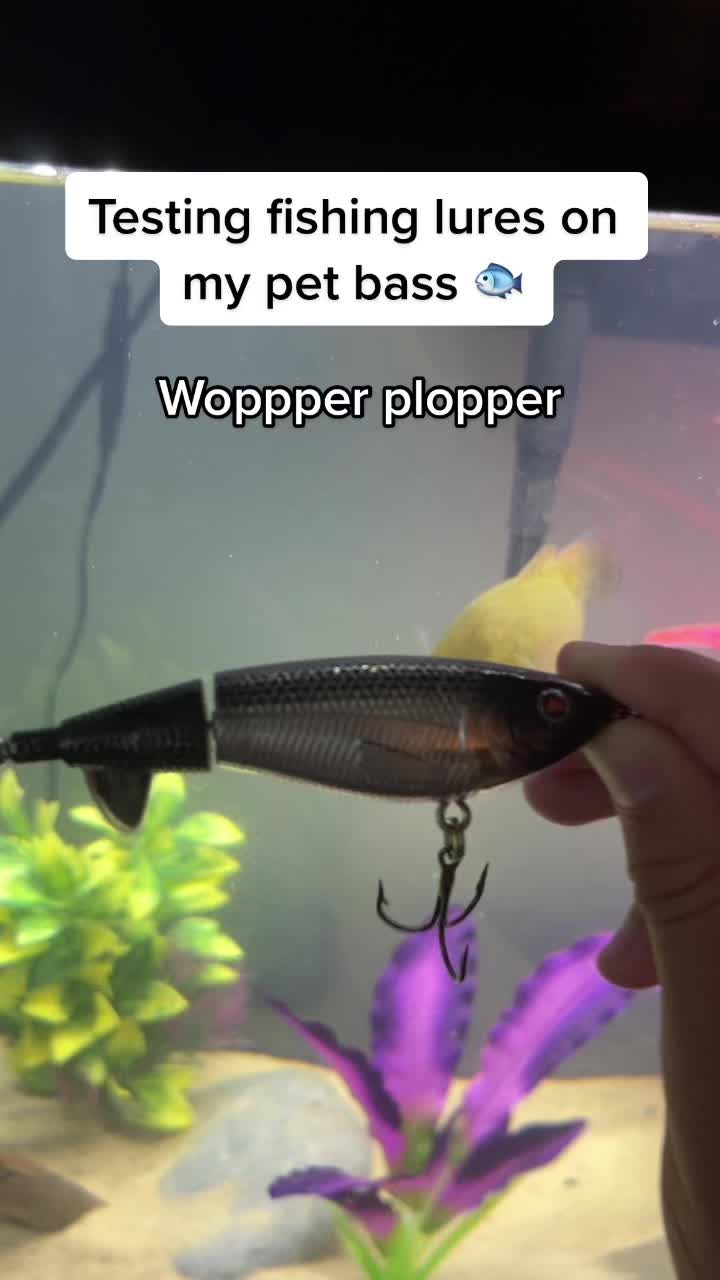 @Grub_the_bass