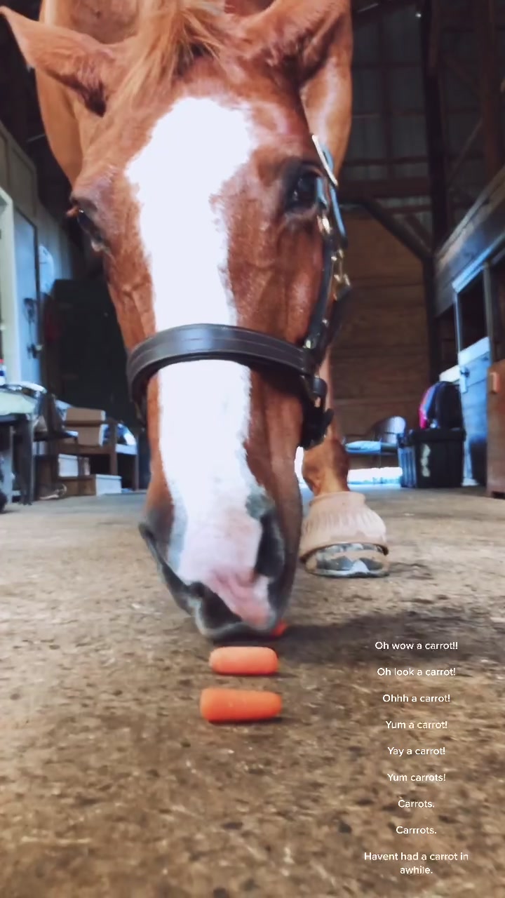 @Chunky Pony