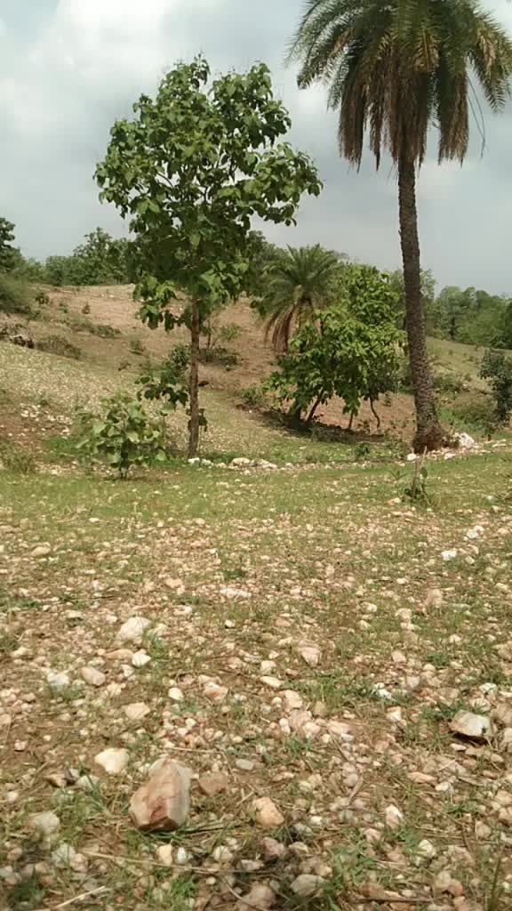@v k garasiya777