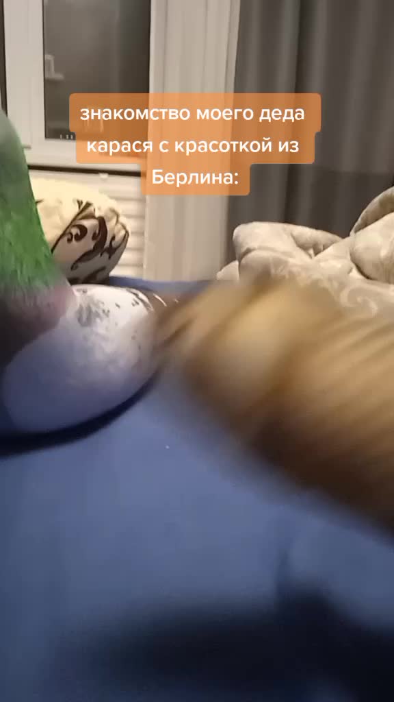 @карасёнок два два восемь
