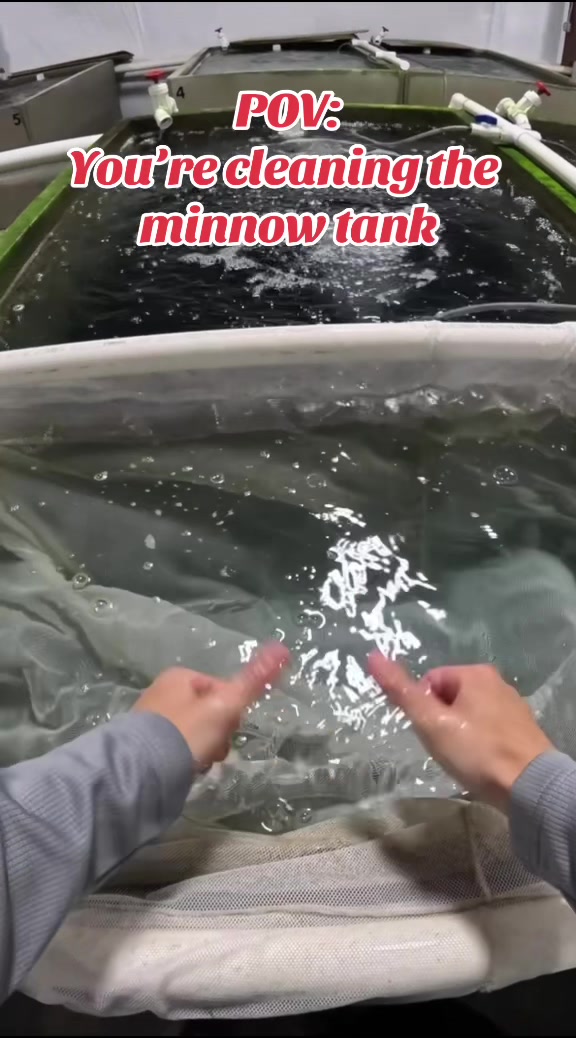 @Hamilton Bait & Tackle