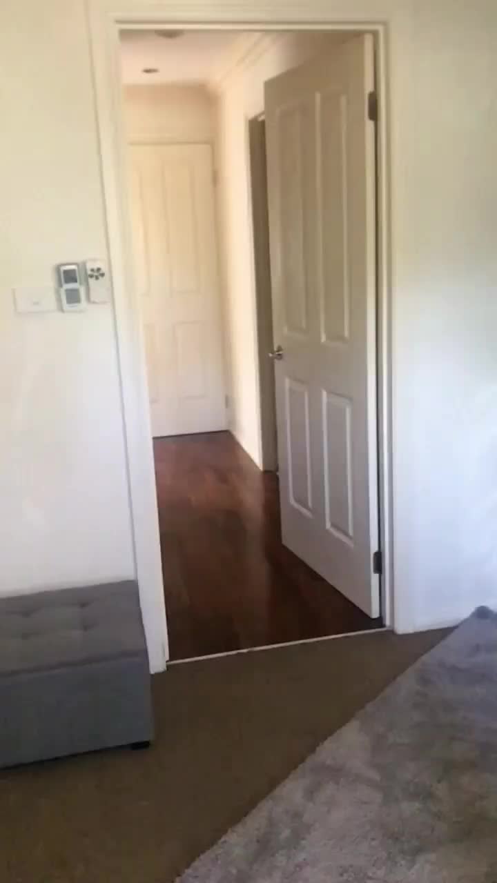 @Funnyparrotboys