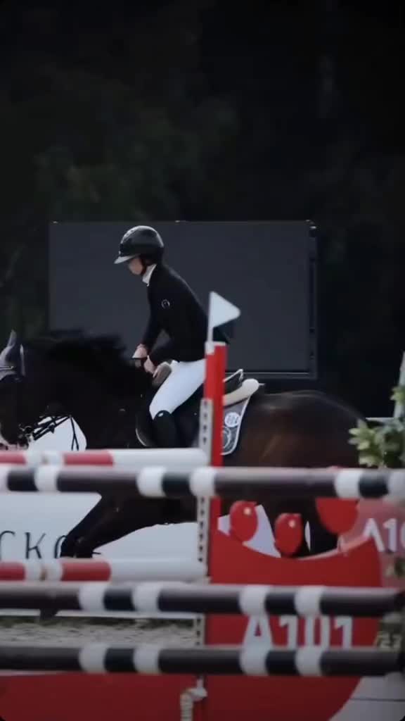 @horse riders