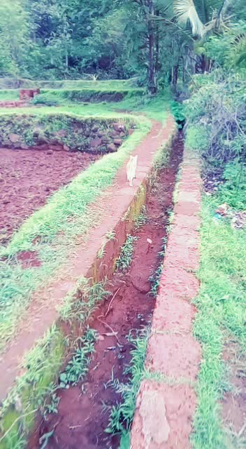 @Swapnali Kadam