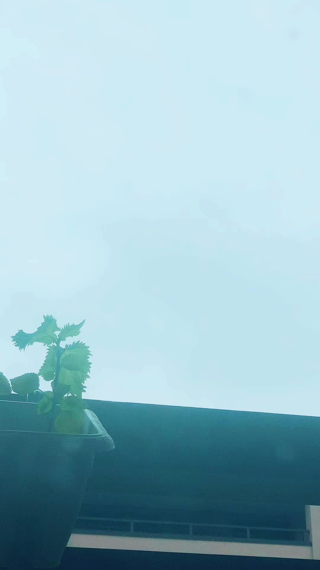 @元空蝉垢