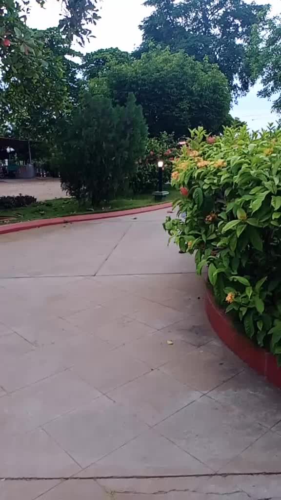 @naveenkumarrnaveenku