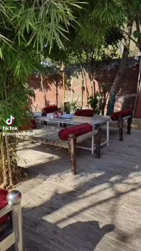 @Areeba Guli