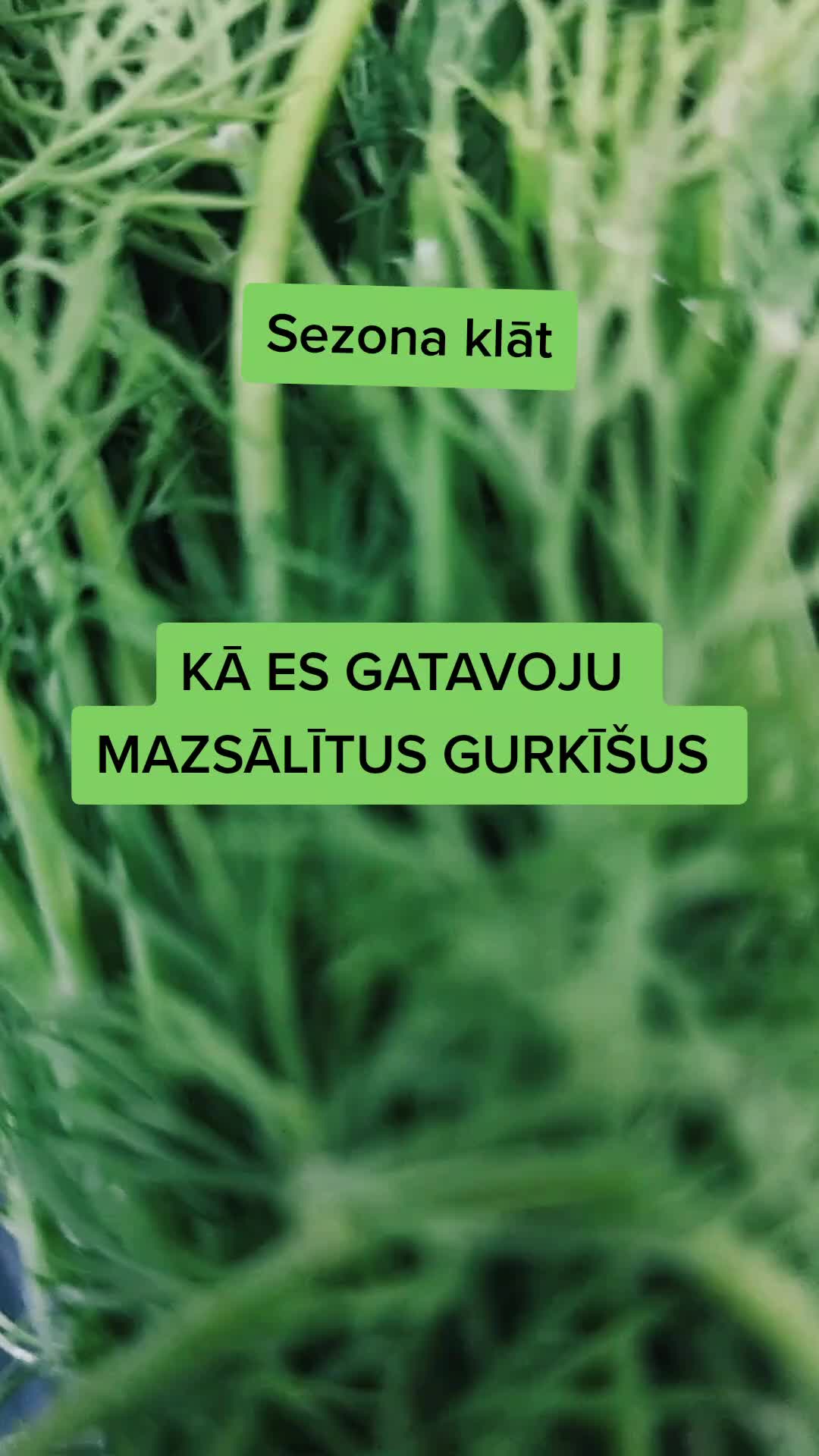@☆Madara☆