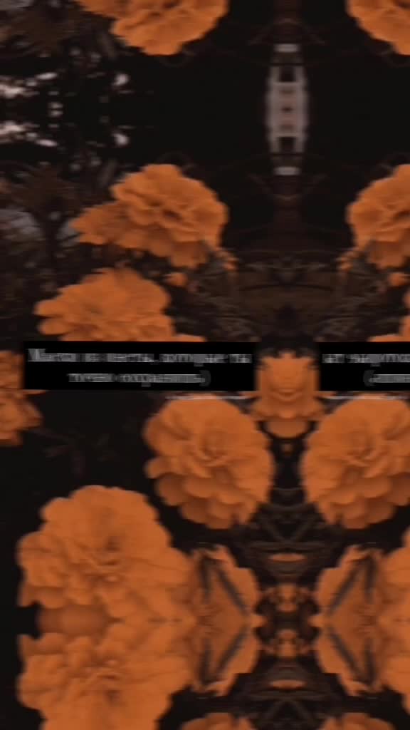 @🧚♀️Aesthetic videos🧚♀