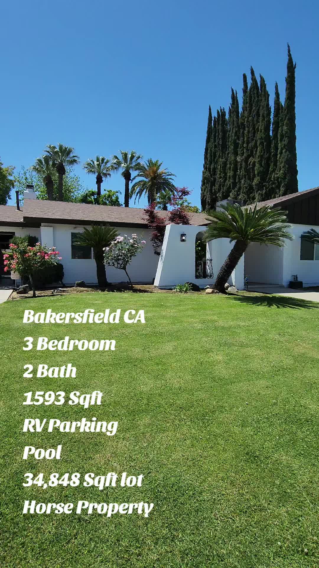 @Mr Real Estate