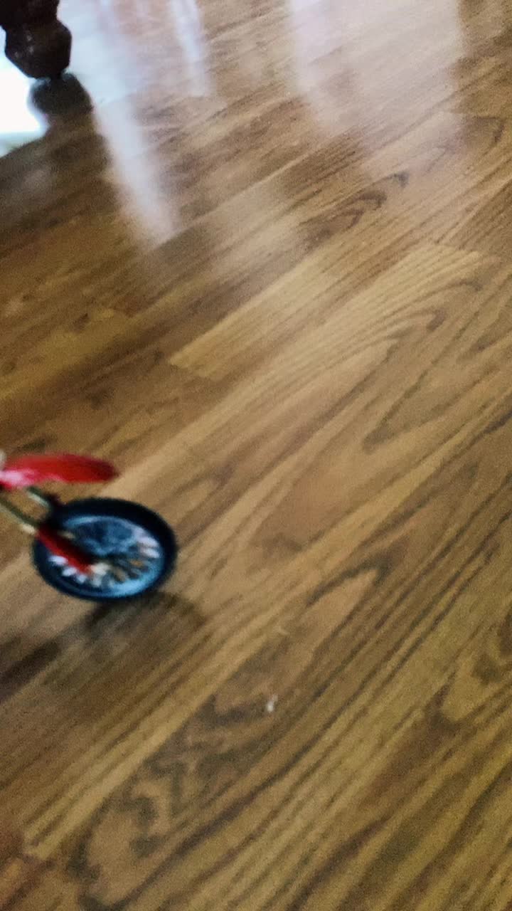 @phoenixmozingo10