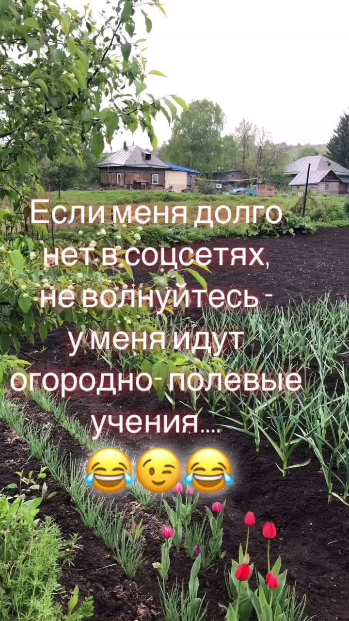 @🌸АнютаЯ🌸