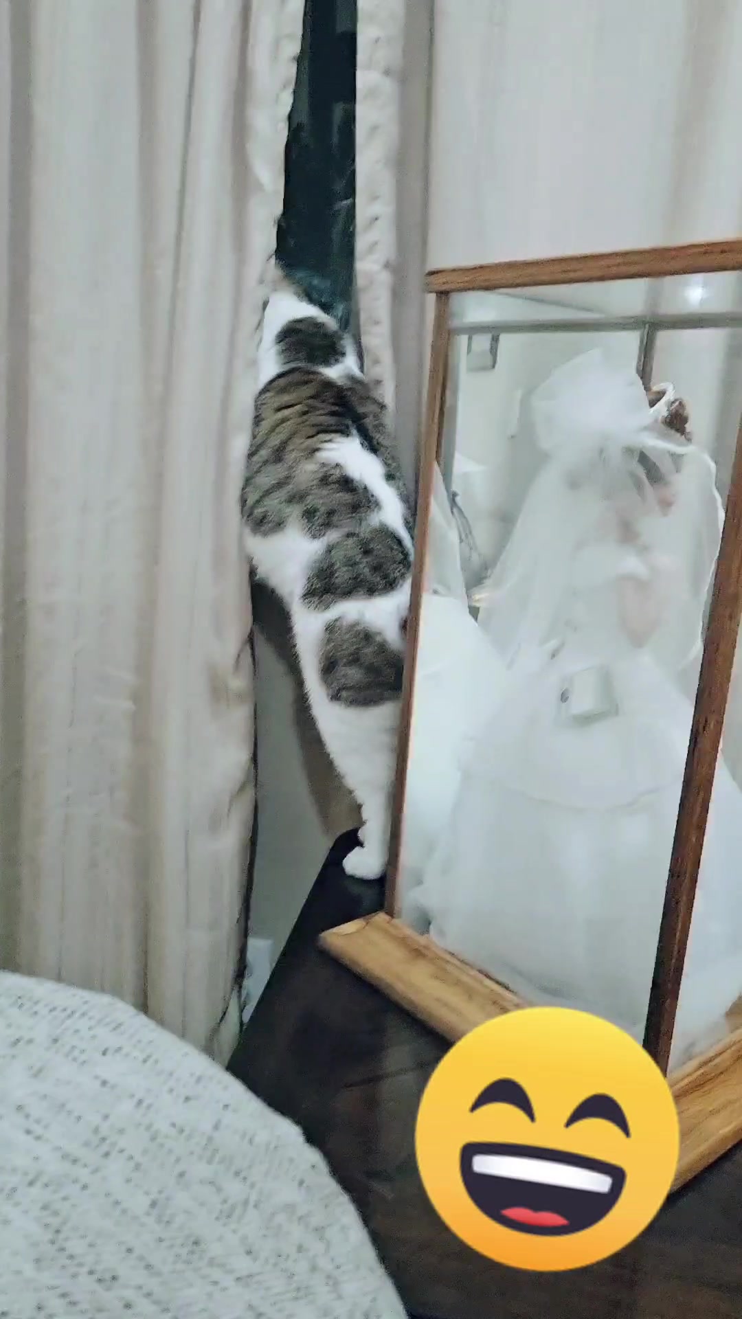 @ℝ𝕆𝕊𝕊𝕐