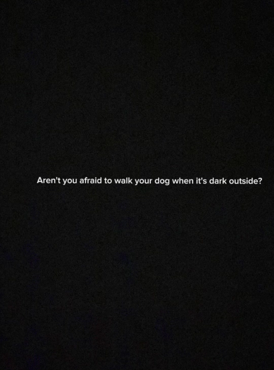 @Walter🦧