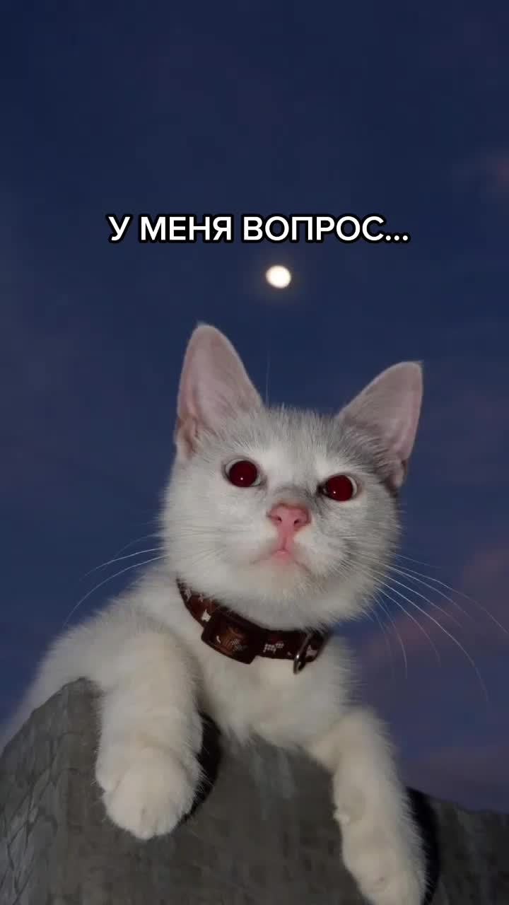 @комертат